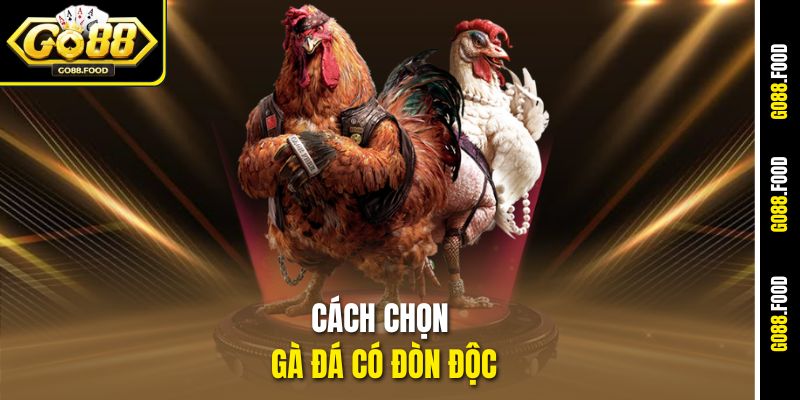 Cách Chọn Gà Đá Có Đòn Độc Cực Chuẩn Tại Go88 1 Cách Chọn Gà Đá Có Đòn Độc