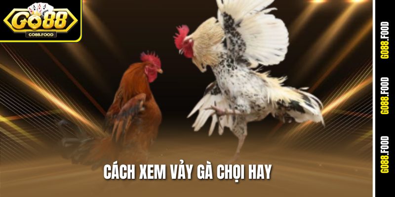 Cách Xem Vảy Gà Chọi Hay Tại Go88 – Chọn Thần Kê Chiến Đấu 1 Cách Xem Vảy Gà Chọi Hay Tại Go88 – Chọn Thần Kê Chiến Đấu