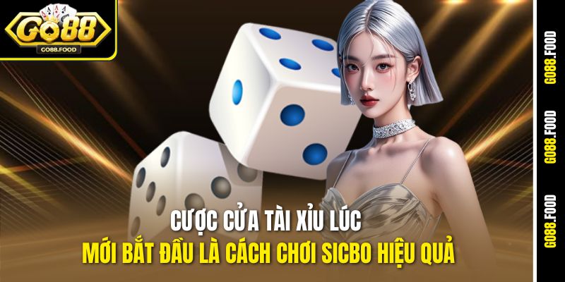 Cách Chơi Sicbo Hiệu Quả Go88 - Bạn Trúng Đậm Tới 50 Triệu 4 Cược cửa Tài Xỉu lúc mới bắt đầu là cách chơi Sicbo hiệu quả