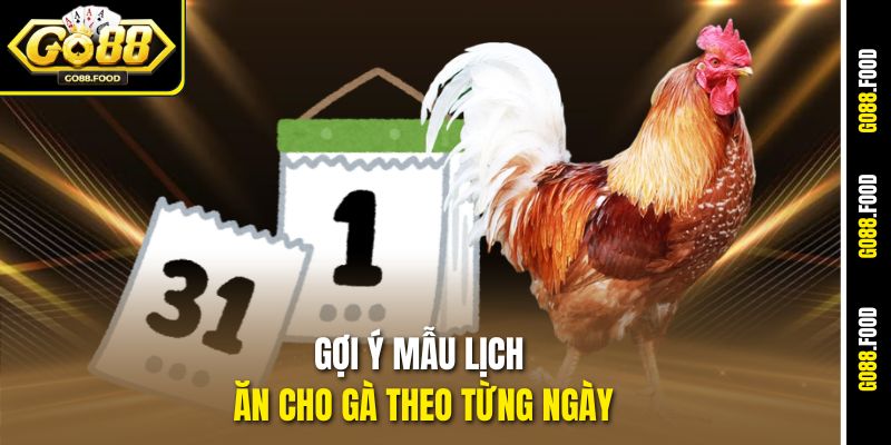 Chế Độ Dinh Dưỡng Cho Gà Chọi Chiến Sung Mãn Tại Go88 4 Gợi ý mẫu lịch ăn cho gà theo từng ngày