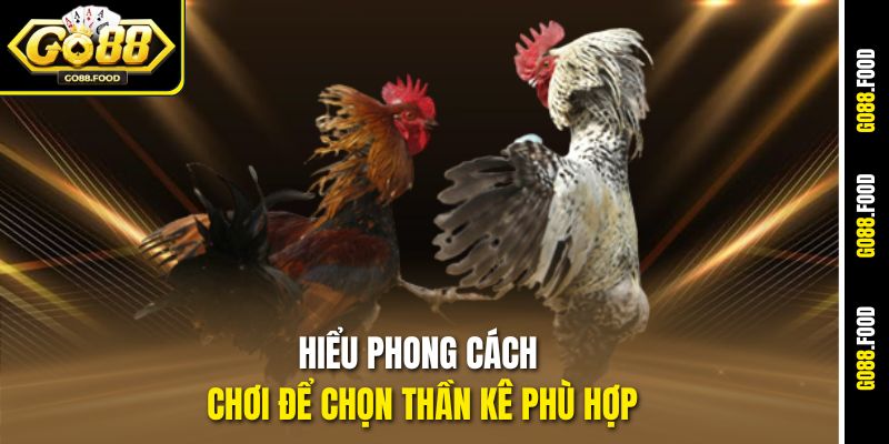 Hiểu phong cách chơi để chọn thần kê phù hợp