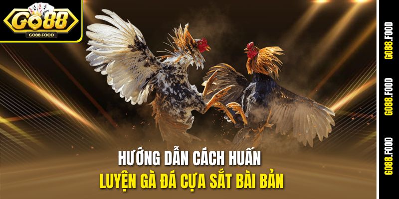 Hướng Dẫn Cách Huấn Luyện Gà Đá Cựa Sắt Từ A Đến Z Tại Go88 3 Hướng dẫn cách huấn luyện gà đá cựa sắt bài bản