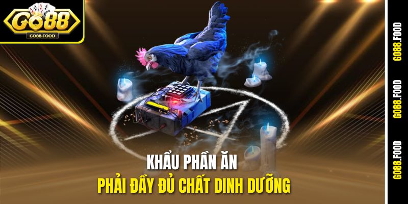 Chế Độ Dinh Dưỡng Cho Gà Chọi Chiến Sung Mãn Tại Go88 2 Khẩu phần ăn phải đầy đủ chất dinh dưỡng