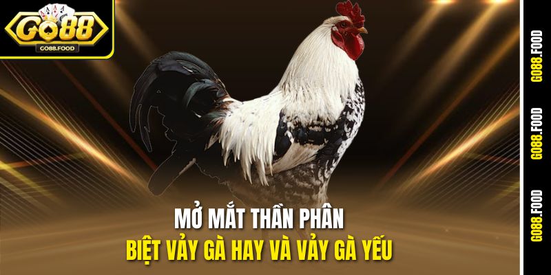 Cách Xem Vảy Gà Chọi Hay Tại Go88 – Chọn Thần Kê Chiến Đấu 4 Mở mắt thần phân biệt vảy gà hay và vảy gà yếu