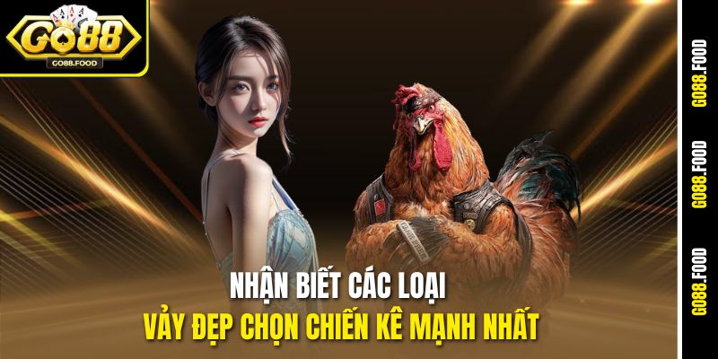Cách Xem Vảy Gà Chọi Hay Tại Go88 – Chọn Thần Kê Chiến Đấu 3 Nhận biết các loại vảy đẹp chọn chiến kê mạnh nhất