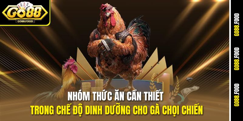 Chế Độ Dinh Dưỡng Cho Gà Chọi Chiến Sung Mãn Tại Go88 3 Nhóm thức ăn cần thiết trong chế độ dinh dưỡng cho gà chọi chiến