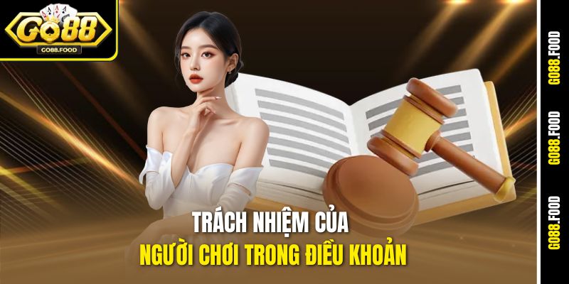 Trách nhiệm của người chơi trong điều khoản