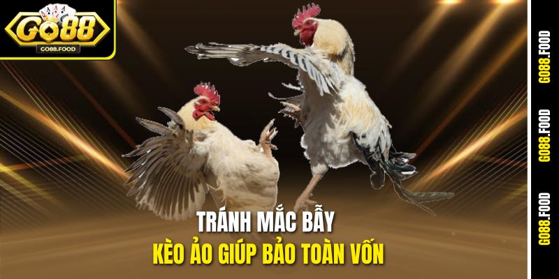 Tránh mắc bẫy kèo ảo giúp bảo toàn vốn
